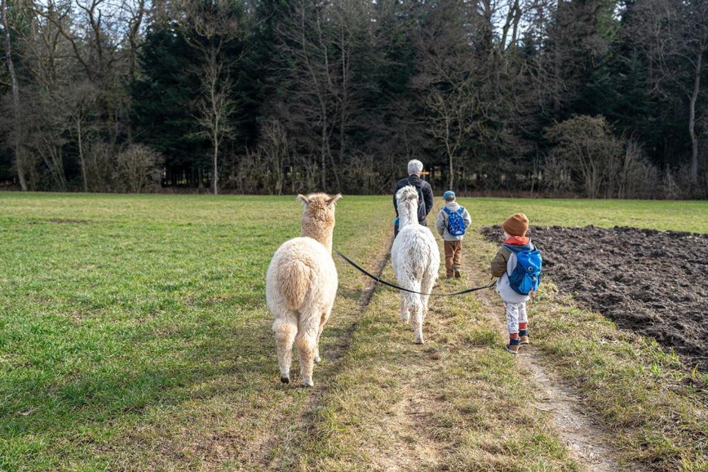 Uelis-Stoeckli-Gaestezimmer Auf Bauernhof Mit Billiard Und Alpakatrekking Meikirch Exterior foto